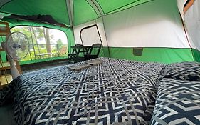 Joy Camping